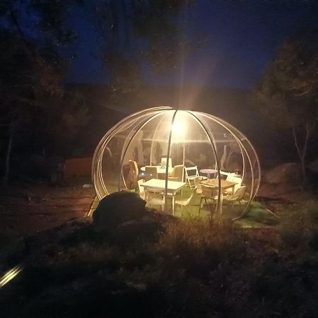 Eucaliptus Farm Retreat Guest House ซานตา เตเรซา กัลลูรา ภายนอก รูปภาพ