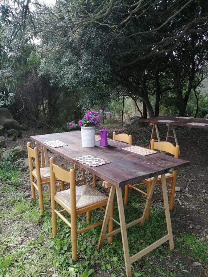 Eucaliptus Farm Retreat Guest House ซานตา เตเรซา กัลลูรา ภายนอก รูปภาพ
