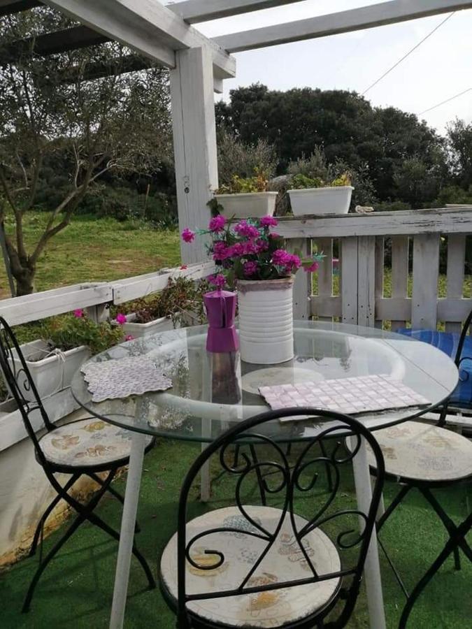 Eucaliptus Farm Retreat Guest House ซานตา เตเรซา กัลลูรา ภายนอก รูปภาพ