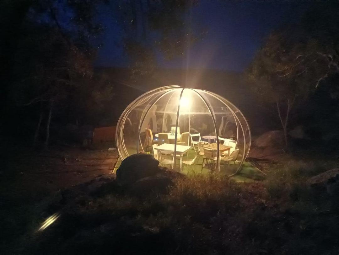 Eucaliptus Farm Retreat Guest House ซานตา เตเรซา กัลลูรา ภายนอก รูปภาพ