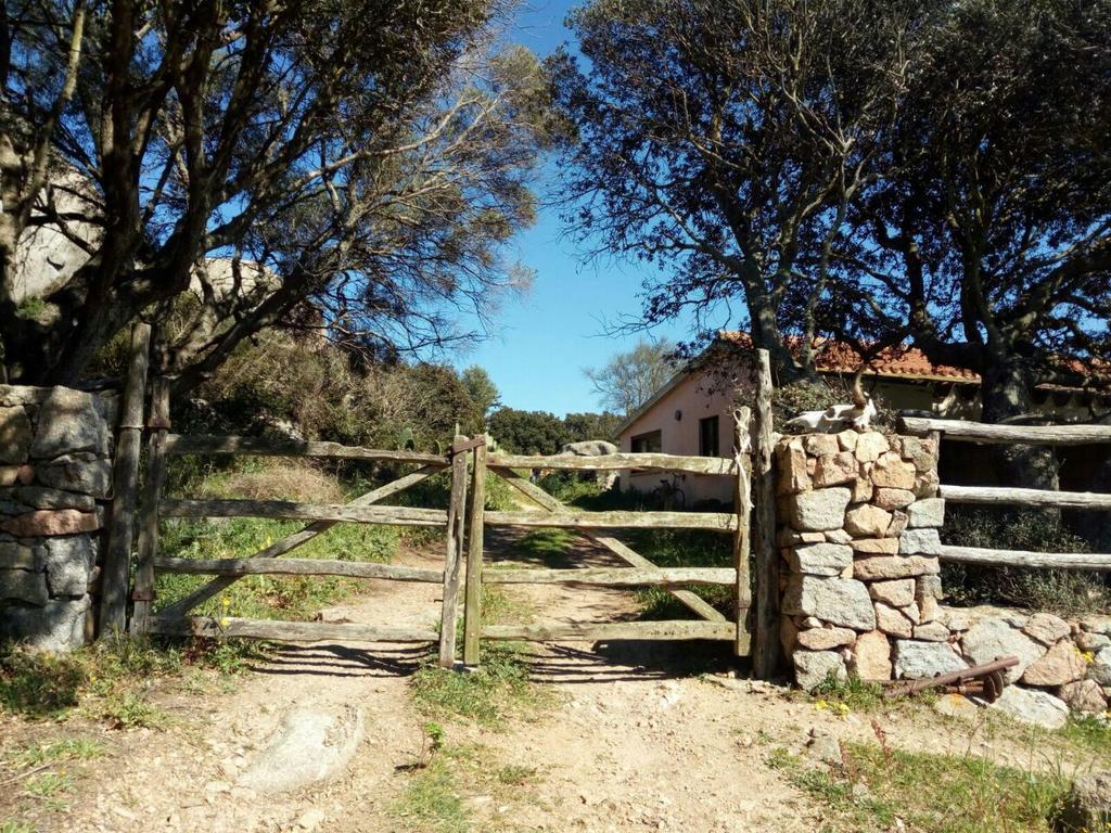Eucaliptus Farm Retreat Guest House ซานตา เตเรซา กัลลูรา ภายนอก รูปภาพ