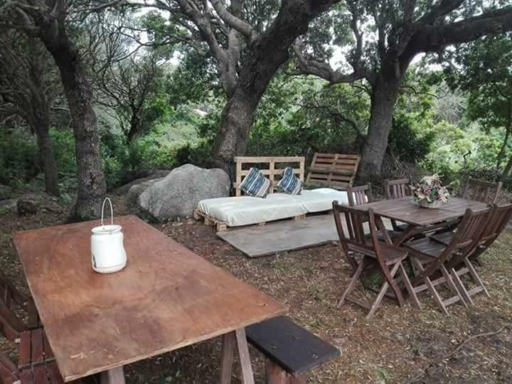 Eucaliptus Farm Retreat Guest House ซานตา เตเรซา กัลลูรา ภายนอก รูปภาพ